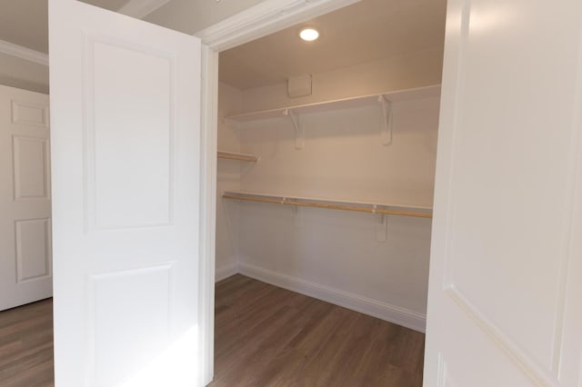 spacious closet with dark wood-type flooring