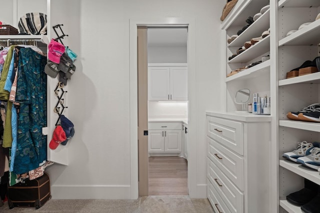 spacious closet with light colored carpet