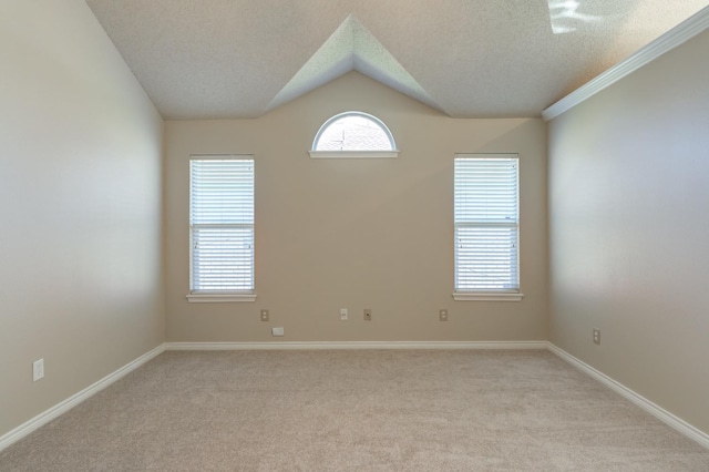 carpeted spare room featuring lofted ceiling and a textured ceiling