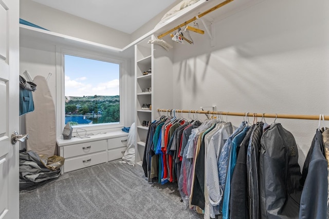 spacious closet featuring carpet flooring