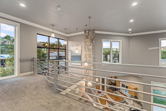 hallway featuring crown molding and carpet