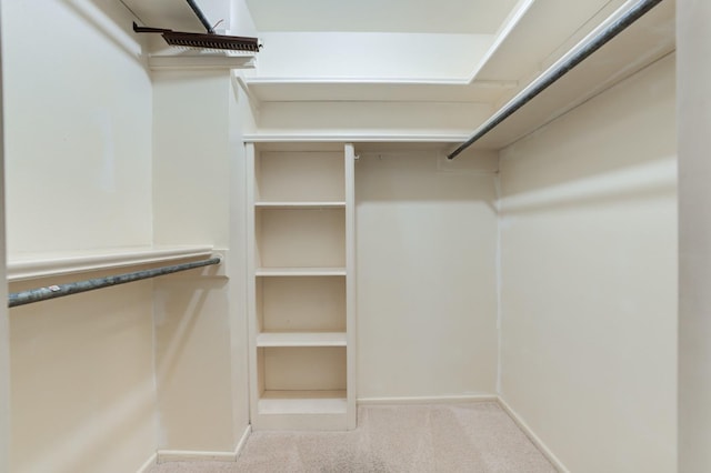 spacious closet featuring light carpet