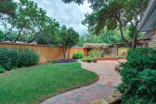 view of yard featuring a patio area