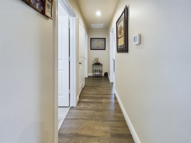 hall featuring dark hardwood / wood-style floors