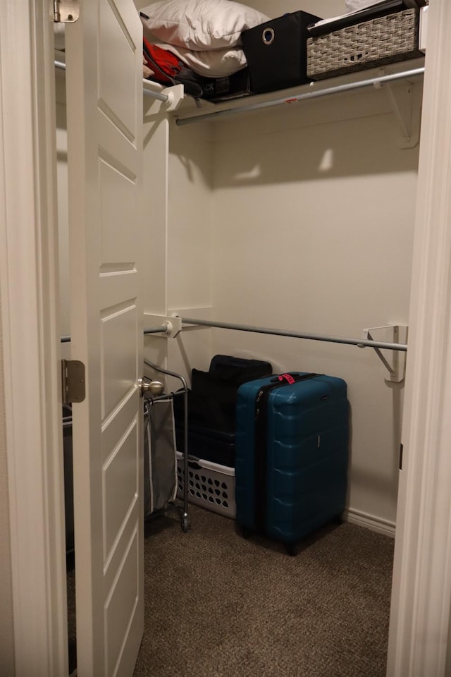 walk in closet with dark carpet