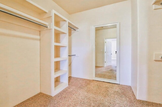 walk in closet with carpet flooring