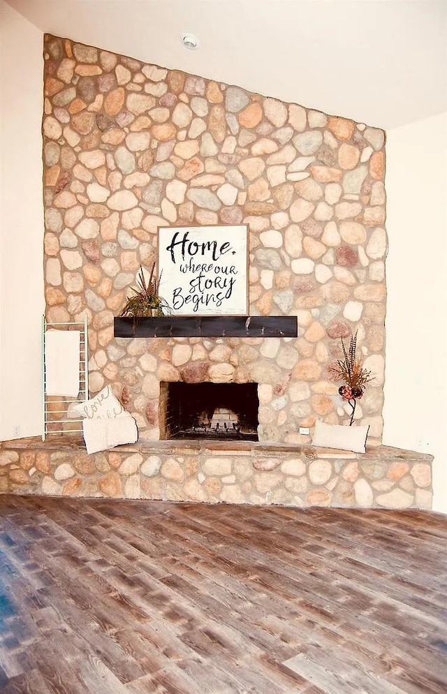 details featuring wood-type flooring and a fireplace