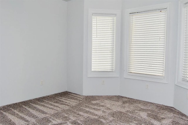 spare room with carpet