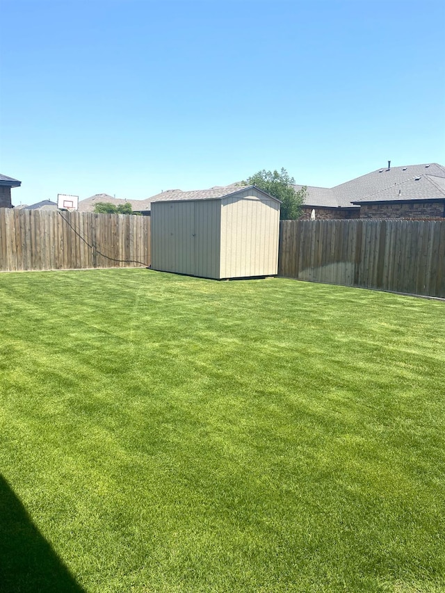 view of yard with a shed