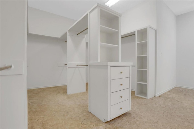 spacious closet featuring light colored carpet