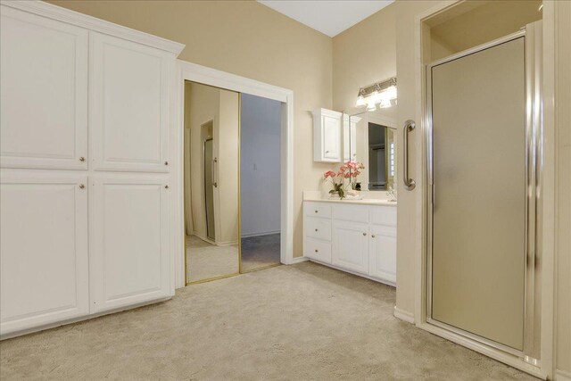 bathroom featuring vanity and a shower with shower door