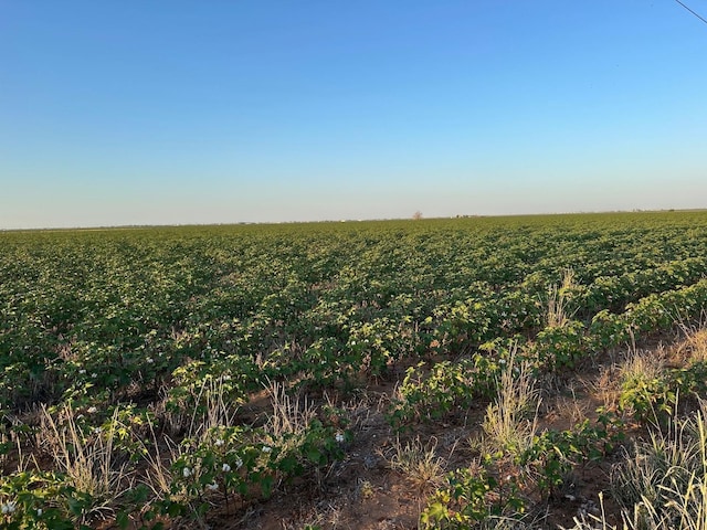 4422 E County Road 7200, Lubbock TX, 79404 land for sale