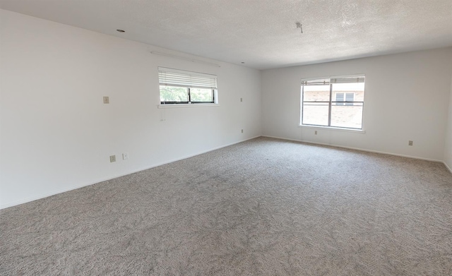 spare room with carpet and a textured ceiling