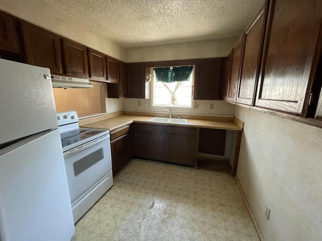 kitchen with dark brown cabinets, sink, a textured ceiling, and white appliances