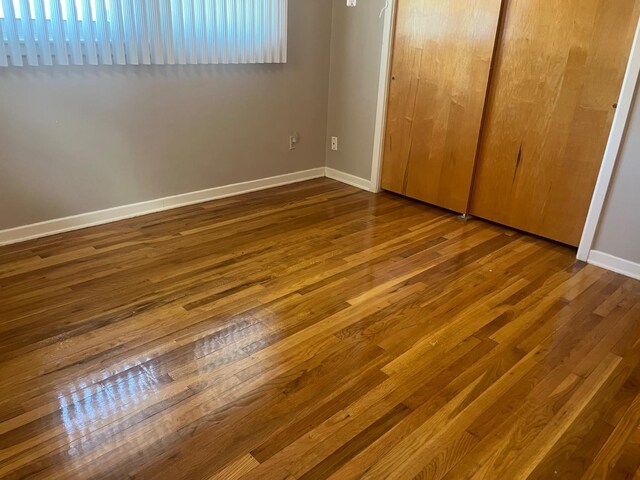 unfurnished bedroom featuring wood-type flooring and a closet