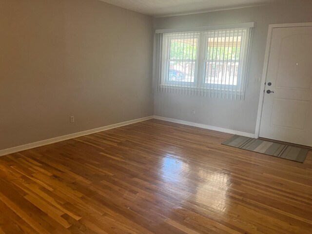 entryway featuring wood-type flooring