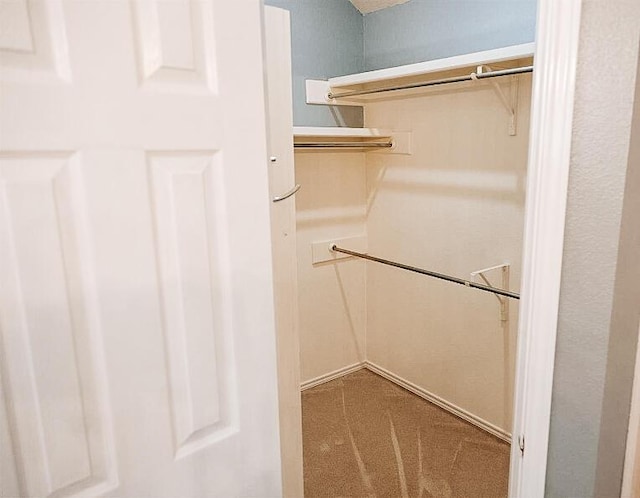 6916 Fulton Ave, Lubbock, TX 79424 - walk in closet featuring carpet