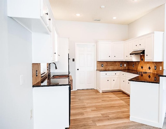6916 Fulton Ave, Lubbock, TX 79424 - kitchen with a sink, under cabinet range hood, light wood-type flooring, tasteful backsplash, and recessed lighting