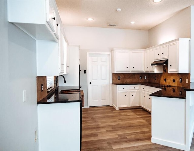 6916 Fulton Ave, Lubbock, TX 79424 - kitchen featuring a sink, under cabinet range hood, light wood-style floors, decorative backsplash, and white cabinetry