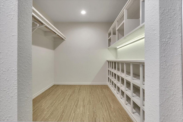 walk in closet featuring light hardwood / wood-style flooring