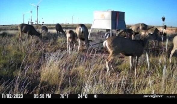 397 County Road 160, Southland, TX 79364 - photo 1