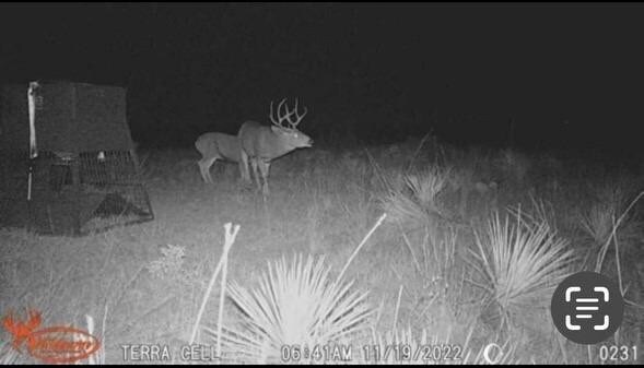 397 County Road 160, Southland, TX 79364 - photo 5