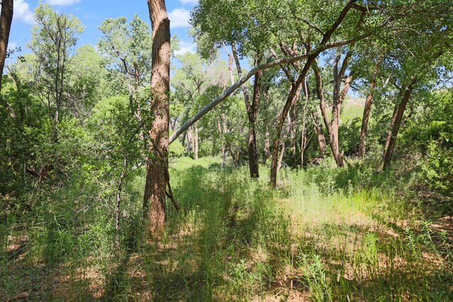 397 County Road 160, Southland, TX 79364 - photo 2