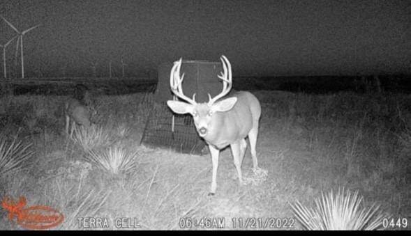 397 County Road 160, Southland, TX 79364 - photo 3