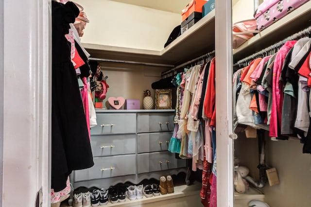 view of walk in closet