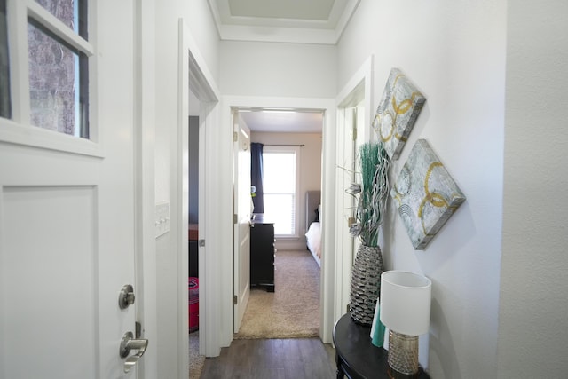 7813 89th St, Lubbock, TX 79424 - hall with dark wood-style floors