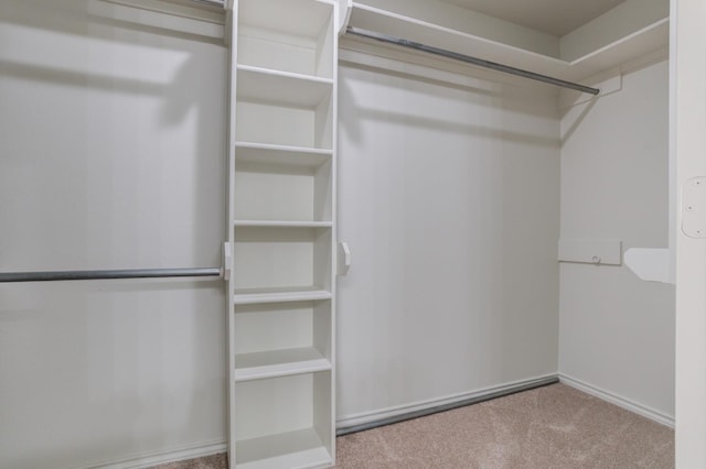 spacious closet with carpet floors