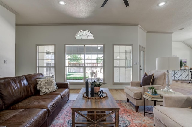 living room featuring ornamental molding, a healthy amount of sunlight, a textured ceiling, and light wood-type flooring