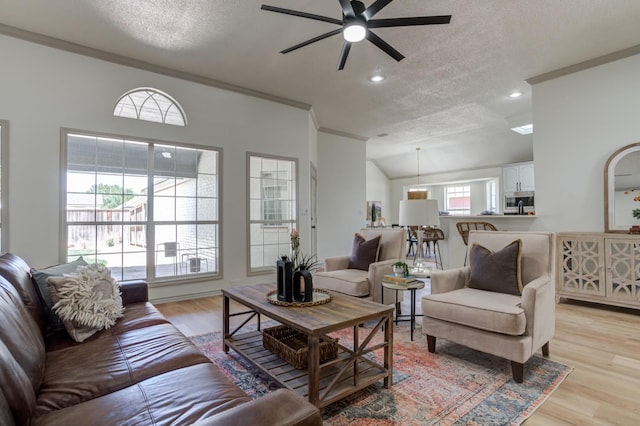 living room with crown molding, ceiling fan, a textured ceiling, and light wood-type flooring