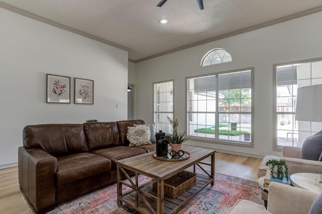 living room with ceiling fan, ornamental molding, a textured ceiling, and light wood-type flooring