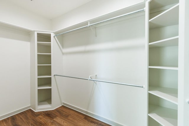 walk in closet with dark hardwood / wood-style flooring