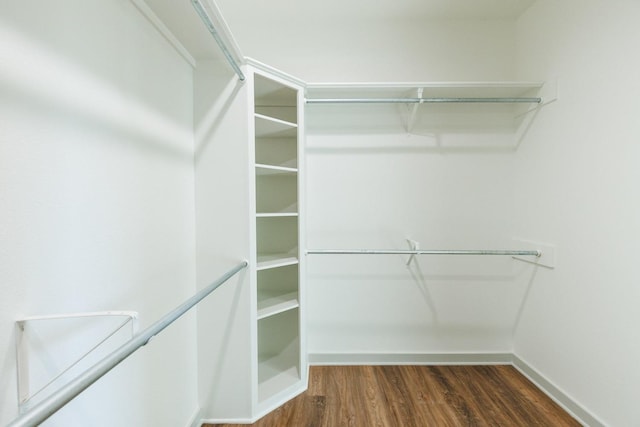 walk in closet with dark hardwood / wood-style floors