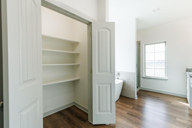 view of closet