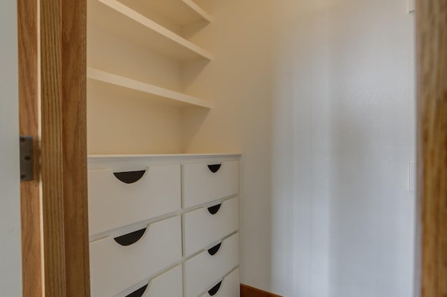 view of closet