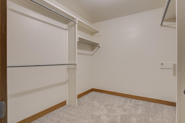 walk in closet featuring light carpet