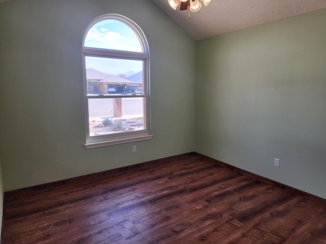 empty room with a textured ceiling, vaulted ceiling, dark wood-style flooring, and a wealth of natural light