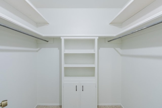 spacious closet with carpet