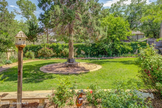 3003 19th St, Lubbock, TX 79410 - view of green lawn with a patio