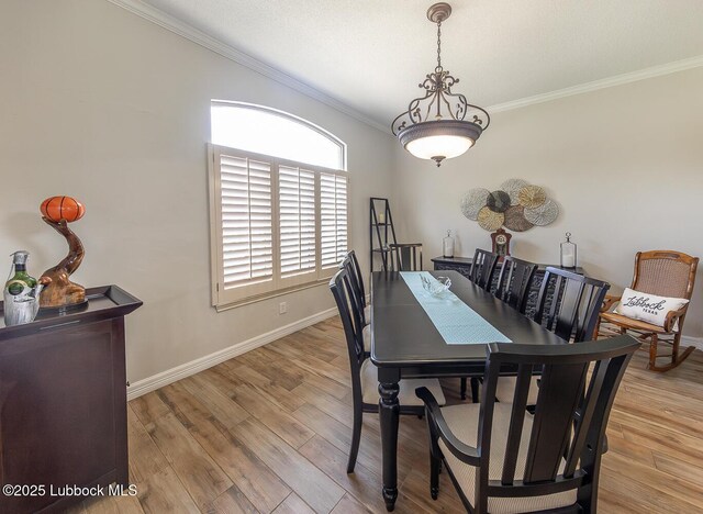 5004 County Rd 1430, Lubbock, TX 79407 - dining space with ornamental molding, baseboards, and light wood-style floors