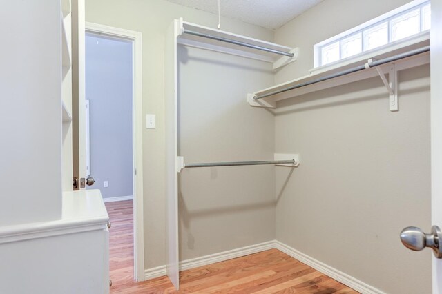 spacious closet featuring light wood-type flooring