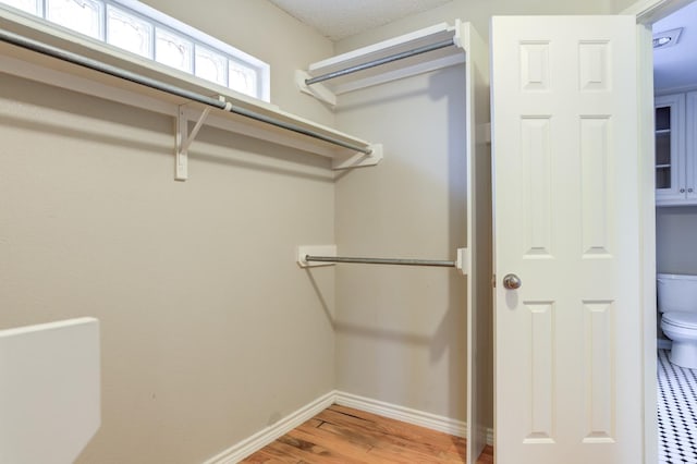 spacious closet with wood-type flooring