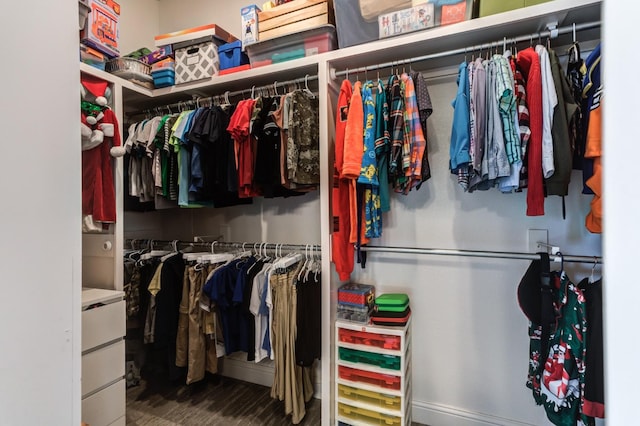 view of spacious closet