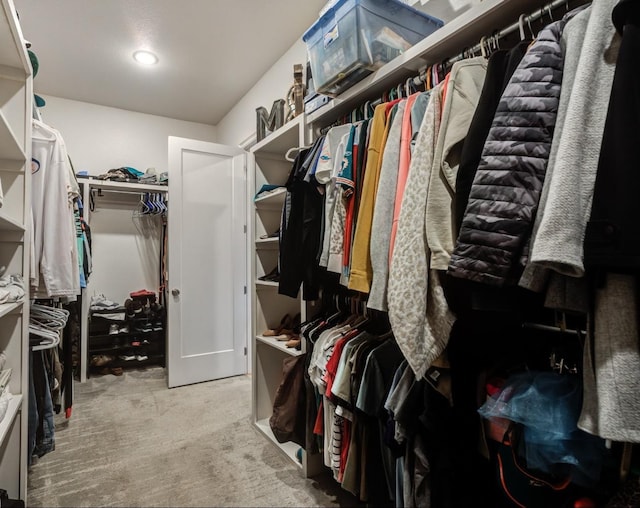 spacious closet with light colored carpet