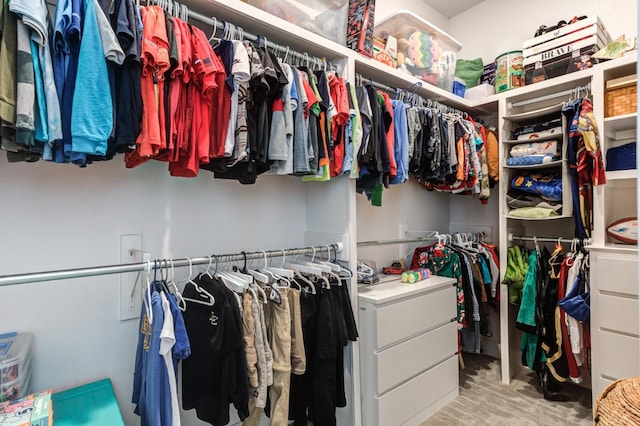 spacious closet with light colored carpet