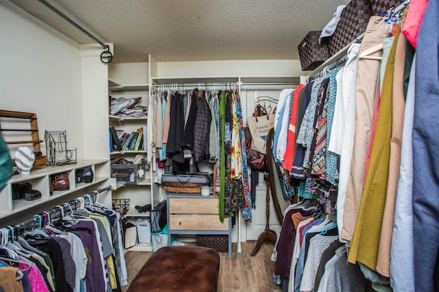 spacious closet with hardwood / wood-style floors