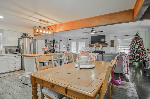 dining area featuring a wealth of natural light and ceiling fan